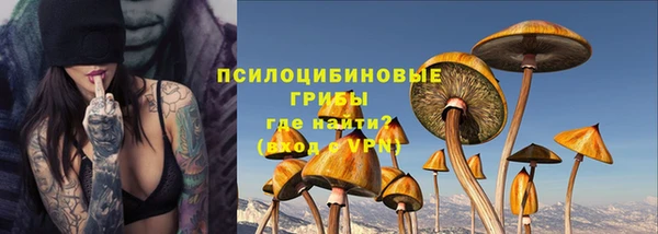 дурь Алексин