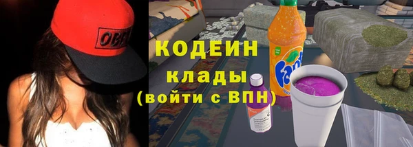дурь Алексин