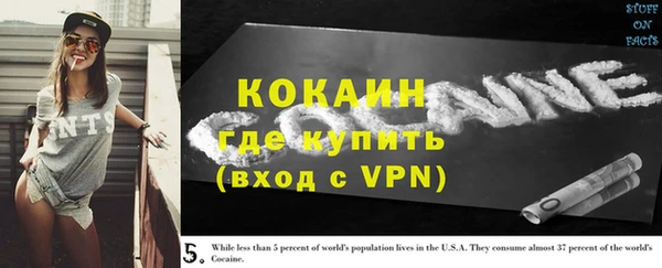 индика Алексеевка