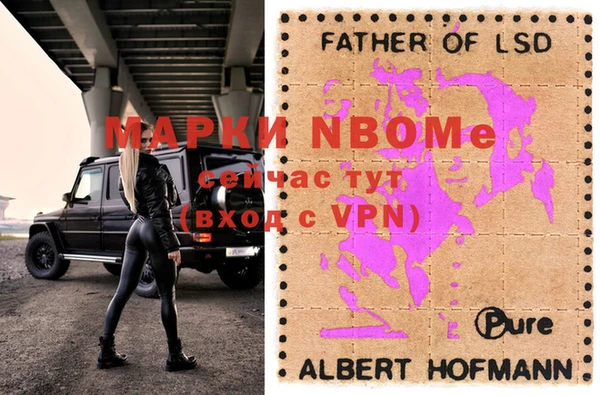 индика Алексеевка