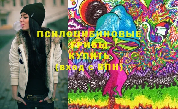 индика Алексеевка