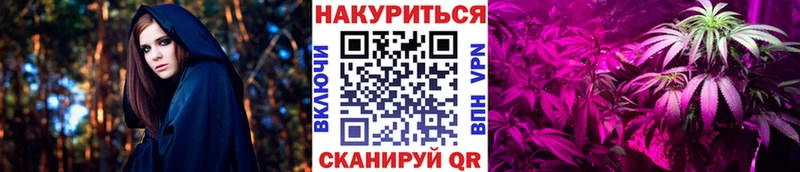 МАРИХУАНА ГИДРОПОН  как найти наркотики  OMG   Кирс 